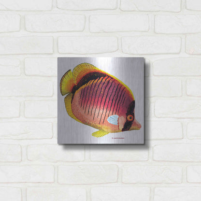 Luxe Metal Art 'New Fish 1' by Olga and Alexey Drozdov, Metal Wall Art,12x12