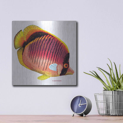 Luxe Metal Art 'New Fish 1' by Olga and Alexey Drozdov, Metal Wall Art,12x12