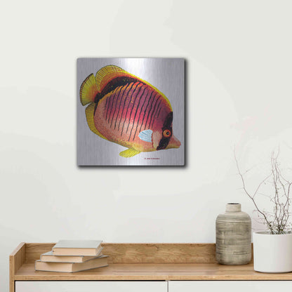 Luxe Metal Art 'New Fish 1' by Olga and Alexey Drozdov, Metal Wall Art,12x12