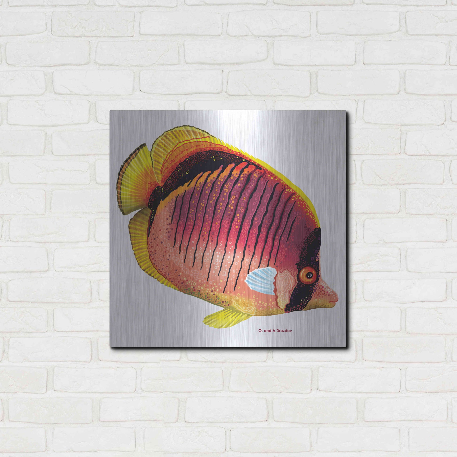 Luxe Metal Art 'New Fish 1' by Olga and Alexey Drozdov, Metal Wall Art,24x24