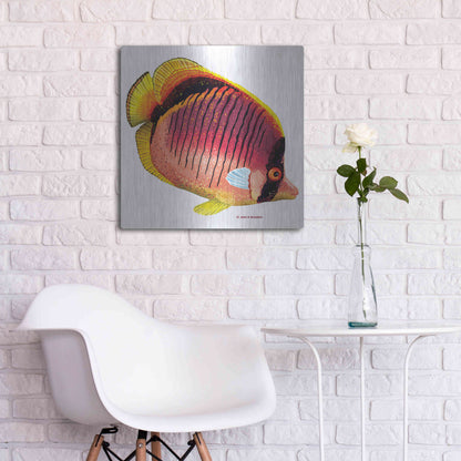 Luxe Metal Art 'New Fish 1' by Olga and Alexey Drozdov, Metal Wall Art,24x24