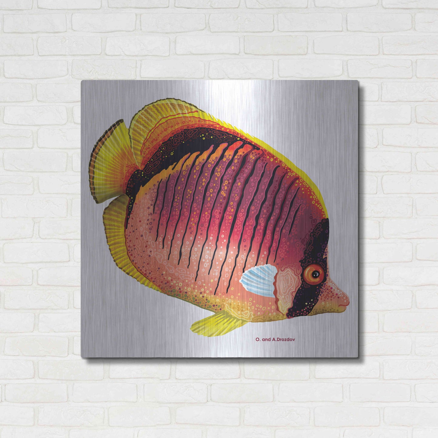 Luxe Metal Art 'New Fish 1' by Olga and Alexey Drozdov, Metal Wall Art,36x36