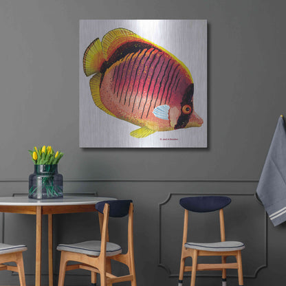 Luxe Metal Art 'New Fish 1' by Olga and Alexey Drozdov, Metal Wall Art,36x36