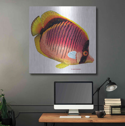 Luxe Metal Art 'New Fish 1' by Olga and Alexey Drozdov, Metal Wall Art,36x36