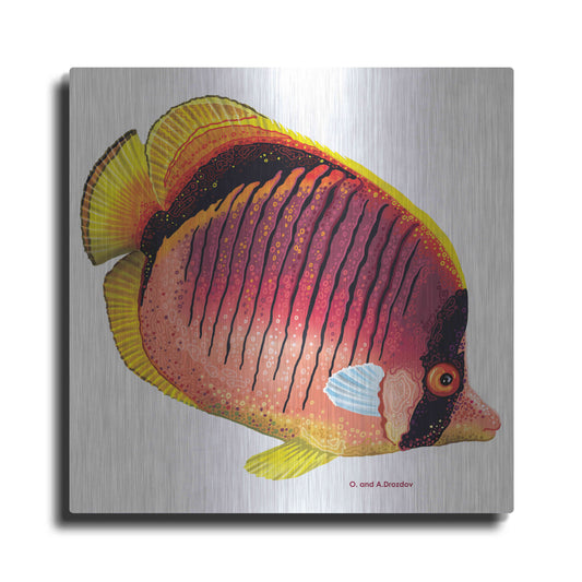 Luxe Metal Art 'New Fish 1' by Olga and Alexey Drozdov, Metal Wall Art