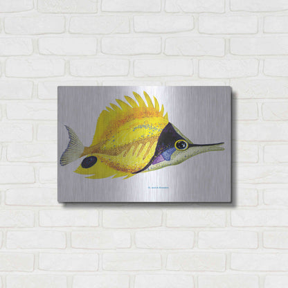 Luxe Metal Art 'Fish 5 Red Yellow' by Olga and Alexey Drozdov, Metal Wall Art,24x16