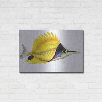 Luxe Metal Art 'Fish 5 Red Yellow' by Olga and Alexey Drozdov, Metal Wall Art,36x24