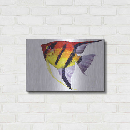 Luxe Metal Art 'Fish 4 Red Yellow' by Olga and Alexey Drozdov, Metal Wall Art,24x16