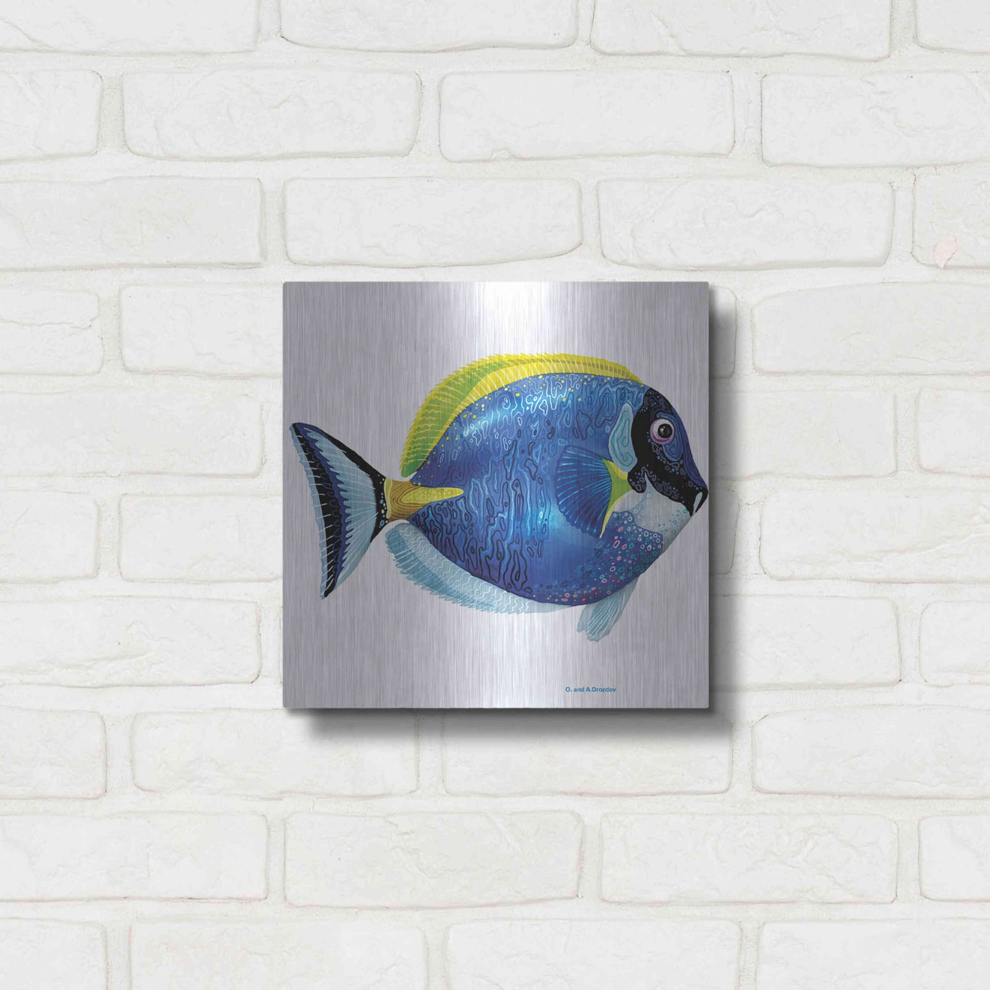 Luxe Metal Art 'Fish 4 Blue Yellow' by Olga and Alexey Drozdov, Metal Wall Art,12x12