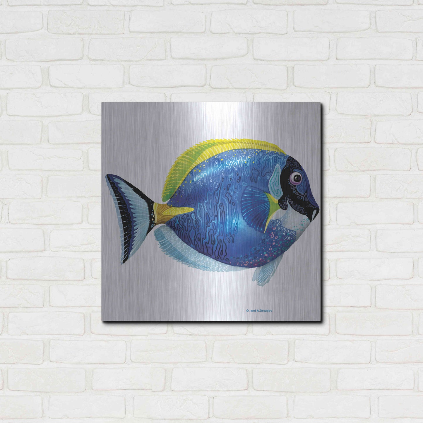 Luxe Metal Art 'Fish 4 Blue Yellow' by Olga and Alexey Drozdov, Metal Wall Art,24x24