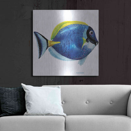 Luxe Metal Art 'Fish 4 Blue Yellow' by Olga and Alexey Drozdov, Metal Wall Art,36x36