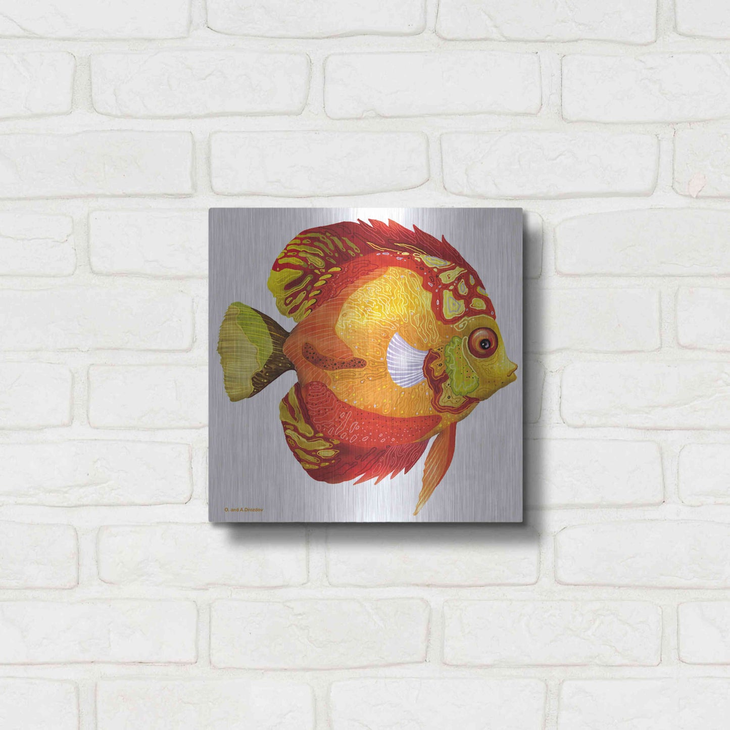 Luxe Metal Art 'Fish 3 Red Yellow' by Olga and Alexey Drozdov, Metal Wall Art,12x12