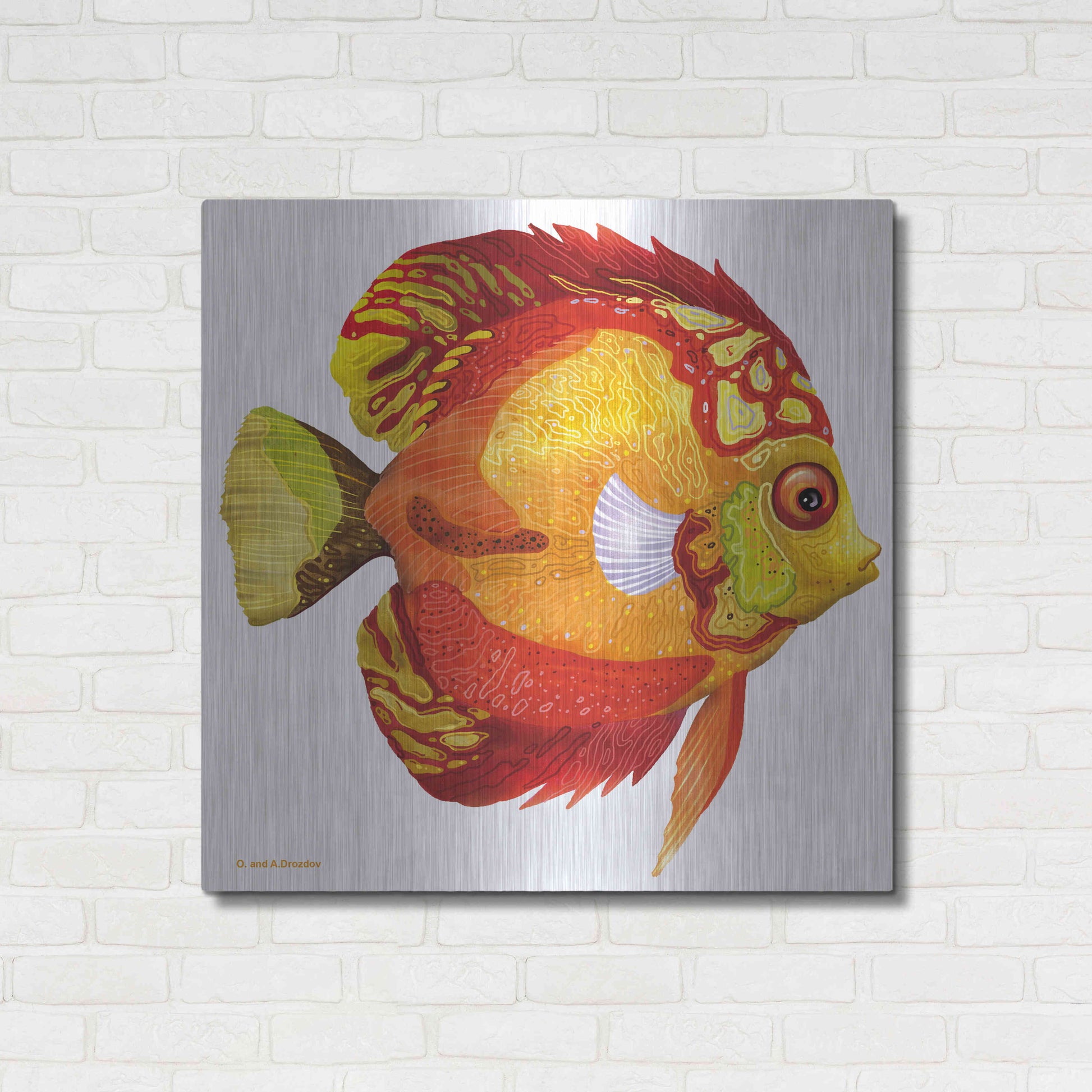 Luxe Metal Art 'Fish 3 Red Yellow' by Olga and Alexey Drozdov, Metal Wall Art,36x36