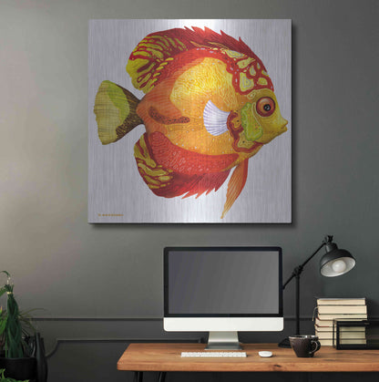 Luxe Metal Art 'Fish 3 Red Yellow' by Olga and Alexey Drozdov, Metal Wall Art,36x36