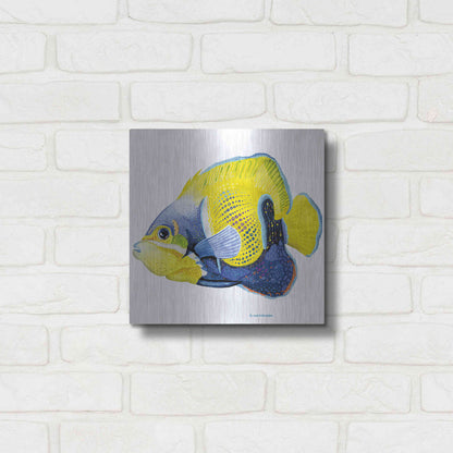 Luxe Metal Art 'Fish 3 Blue Yellow' by Olga and Alexey Drozdov, Metal Wall Art,12x12