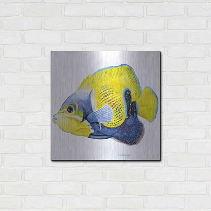 Luxe Metal Art 'Fish 3 Blue Yellow' by Olga and Alexey Drozdov, Metal Wall Art,24x24