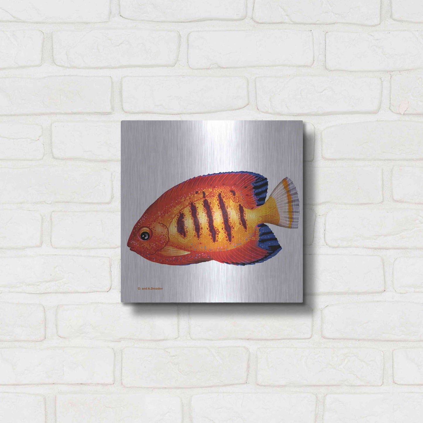 Luxe Metal Art 'Fish 2 Red Yellow' by Olga and Alexey Drozdov, Metal Wall Art,12x12