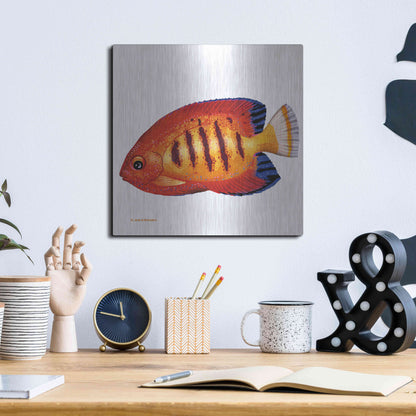 Luxe Metal Art 'Fish 2 Red Yellow' by Olga and Alexey Drozdov, Metal Wall Art,12x12