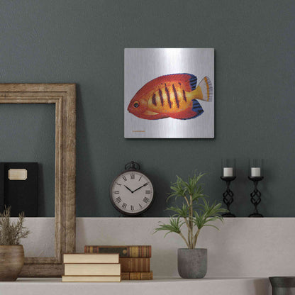 Luxe Metal Art 'Fish 2 Red Yellow' by Olga and Alexey Drozdov, Metal Wall Art,12x12