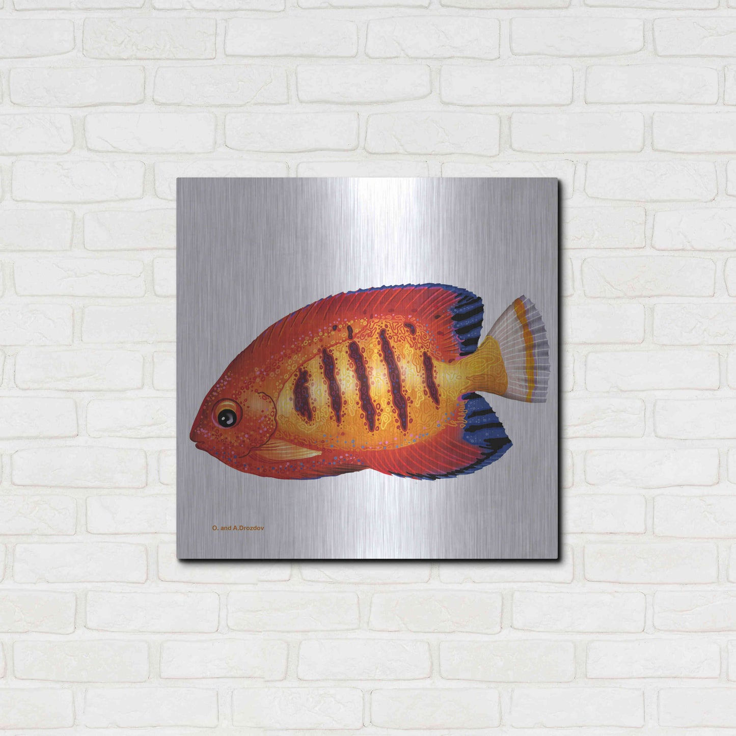 Luxe Metal Art 'Fish 2 Red Yellow' by Olga and Alexey Drozdov, Metal Wall Art,24x24