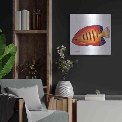 Luxe Metal Art 'Fish 2 Red Yellow' by Olga and Alexey Drozdov, Metal Wall Art,24x24