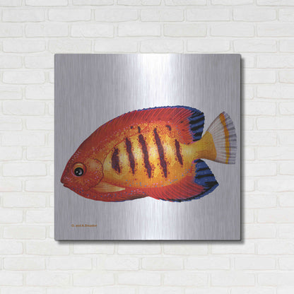 Luxe Metal Art 'Fish 2 Red Yellow' by Olga and Alexey Drozdov, Metal Wall Art,36x36