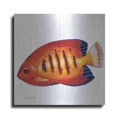 Luxe Metal Art 'Fish 2 Red Yellow' by Olga and Alexey Drozdov, Metal Wall Art