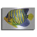 Luxe Metal Art 'Fish 2 Blue Yellow' by Olga and Alexey Drozdov, Metal Wall Art