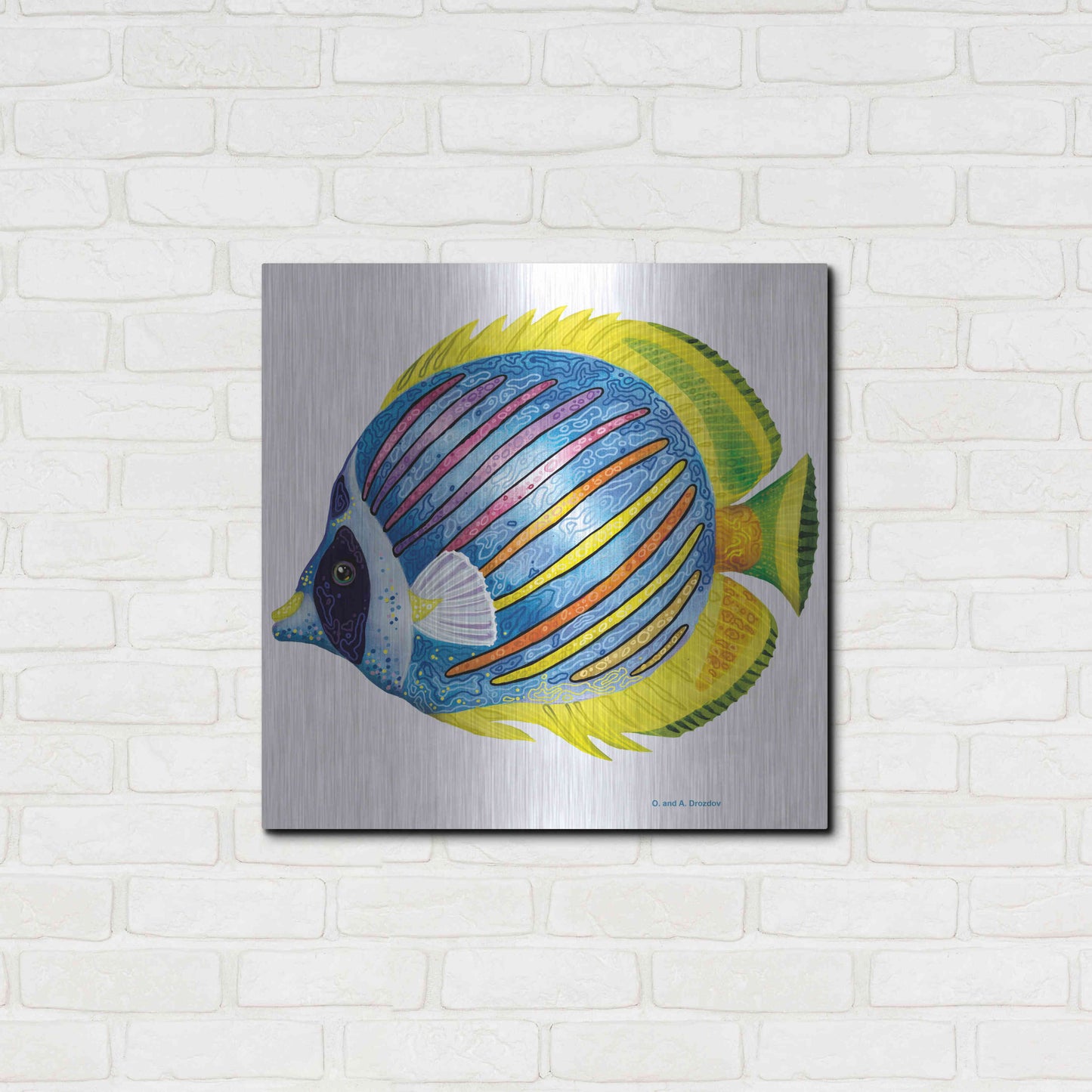 Luxe Metal Art 'Fish 1 Blue Yellow' by Olga and Alexey Drozdov, Metal Wall Art,24x24