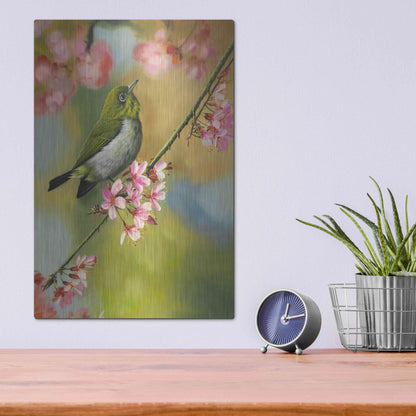 Luxe Metal Art 'Birds & Blossoms' by Patricia Feathers, Metal Wall Art,12x16