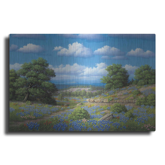 Luxe Metal Art 'Hill Country Blues' by R. Hed, Metal Wall Art