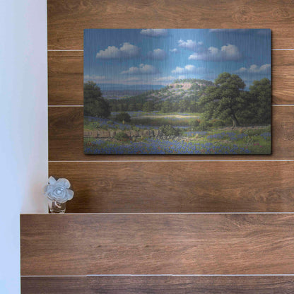 Luxe Metal Art 'Blue Bonnet Hill' by R. Hed, Metal Wall Art,16x12