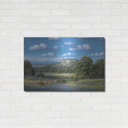 Luxe Metal Art 'Blue Bonnet Hill' by R. Hed, Metal Wall Art,36x24