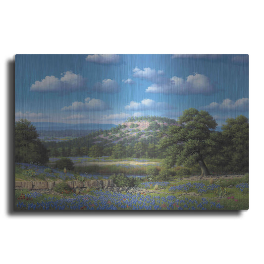 Luxe Metal Art 'Blue Bonnet Hill' by R. Hed, Metal Wall Art