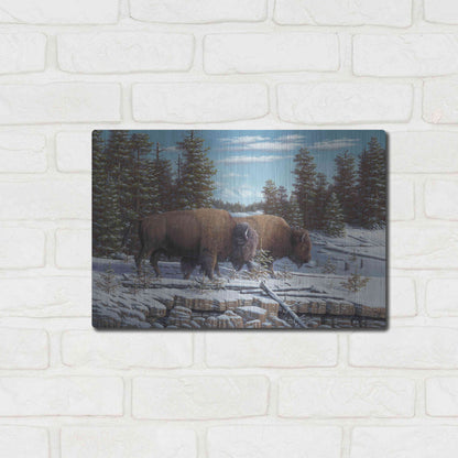 Luxe Metal Art 'The Journey' by R. Hed, Metal Wall Art,16x12