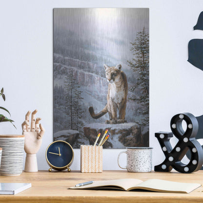 Luxe Metal Art 'Positive Traction' by R. Hed, Metal Wall Art,12x16