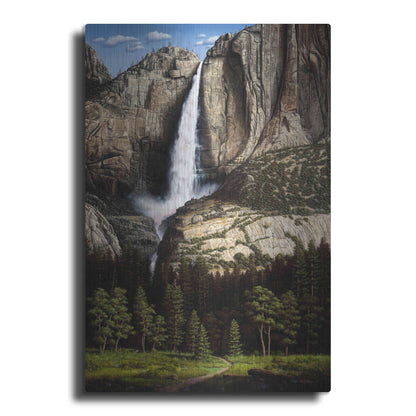 Luxe Metal Art 'Water Dance' by R. Hed, Metal Wall Art