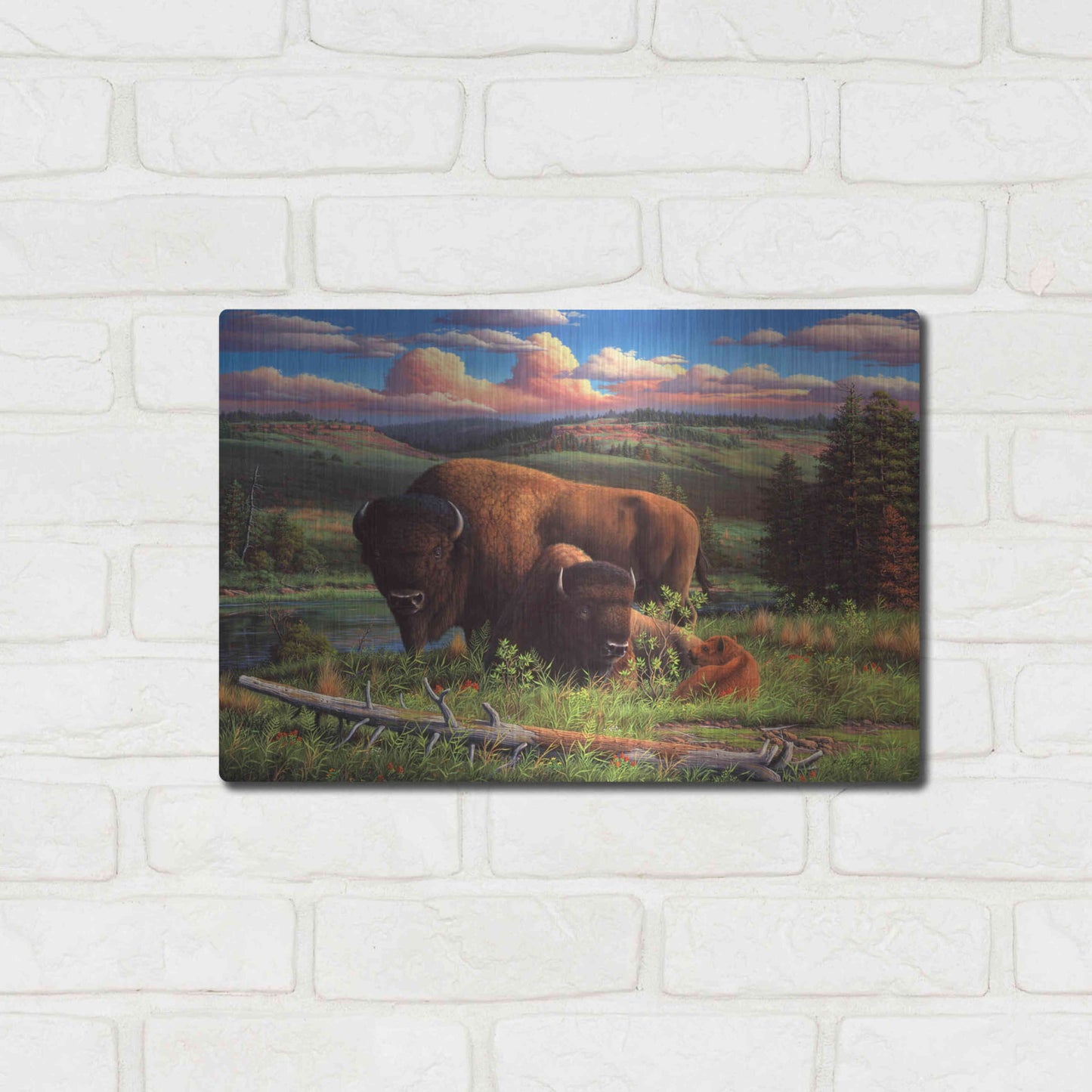 Luxe Metal Art 'Buffalo Nation' by R. Hed, Metal Wall Art,16x12