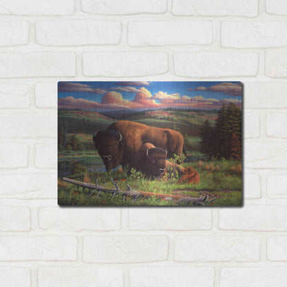 Luxe Metal Art 'Buffalo Nation' by R. Hed, Metal Wall Art,16x12