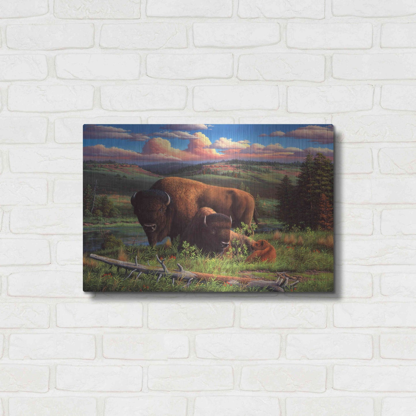 Luxe Metal Art 'Buffalo Nation' by R. Hed, Metal Wall Art,24x16