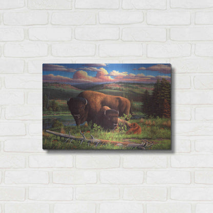 Luxe Metal Art 'Buffalo Nation' by R. Hed, Metal Wall Art,24x16