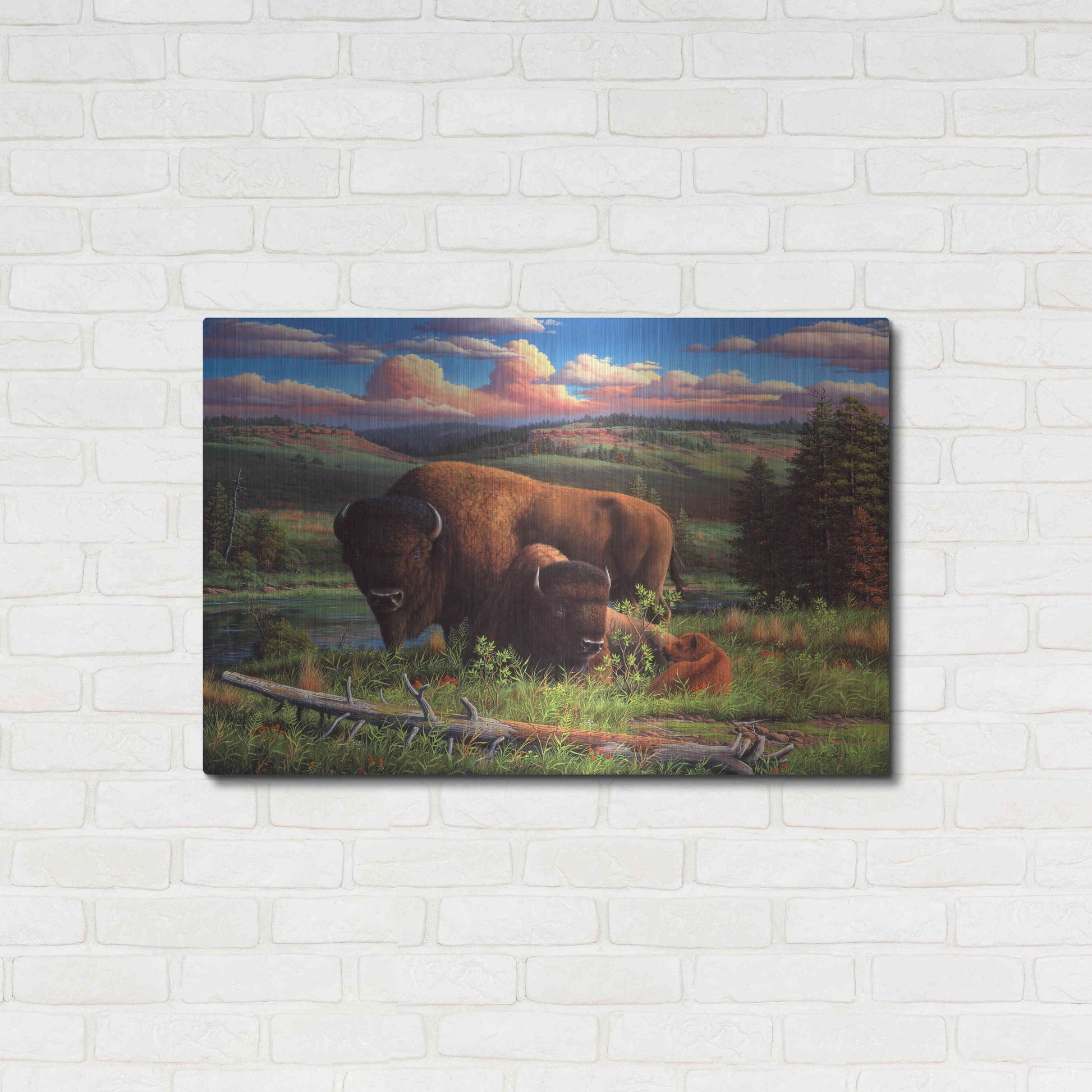 Luxe Metal Art 'Buffalo Nation' by R. Hed, Metal Wall Art,36x24