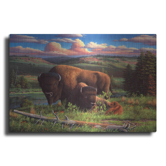 Luxe Metal Art 'Buffalo Nation' by R. Hed, Metal Wall Art