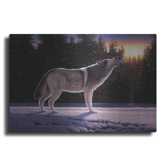 Luxe Metal Art 'The Last Ember' by R. Hed, Metal Wall Art