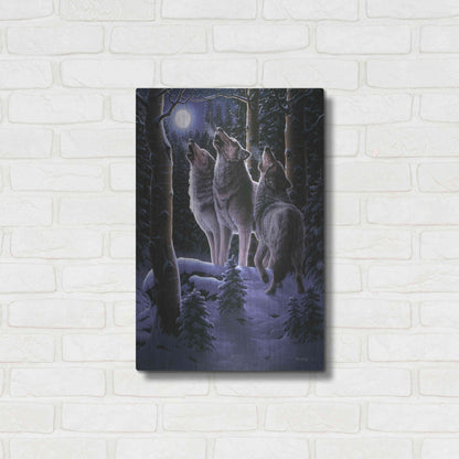 Luxe Metal Art 'Midnight Clear' by R. Hed, Metal Wall Art,16x24