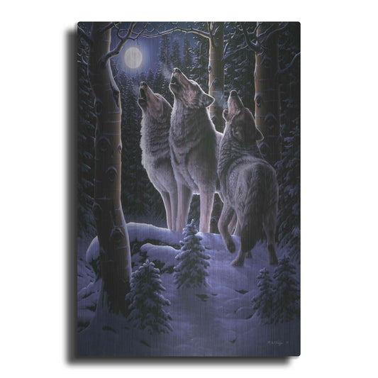 Luxe Metal Art 'Midnight Clear' by R. Hed, Metal Wall Art