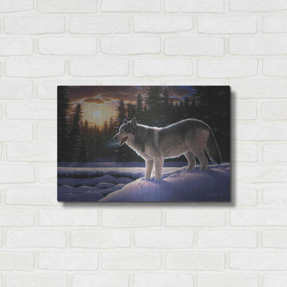 Luxe Metal Art 'New Trail' by R. Hed, Metal Wall Art,24x16