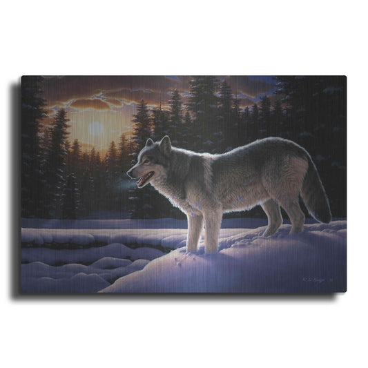 Luxe Metal Art 'New Trail' by R. Hed, Metal Wall Art