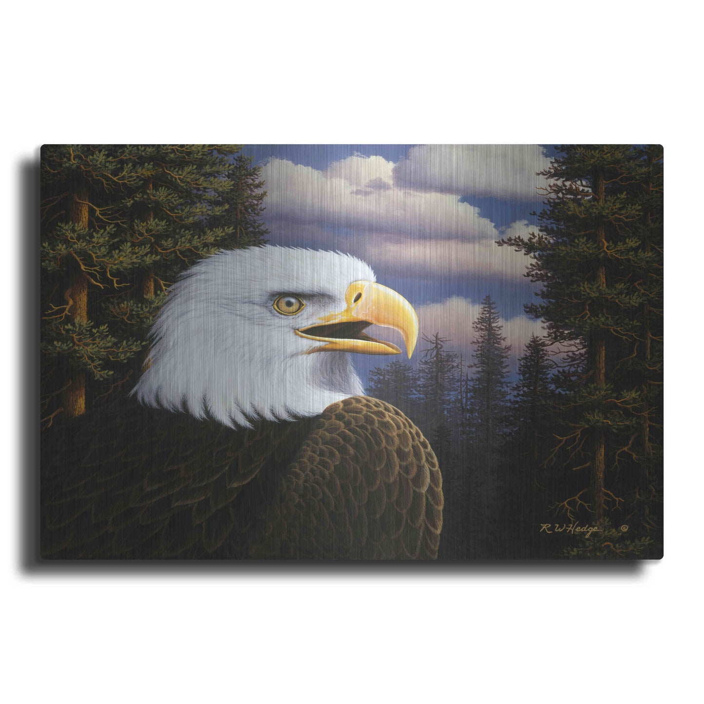 Luxe Metal Art 'Proud & Free' by R. Hed, Metal Wall Art