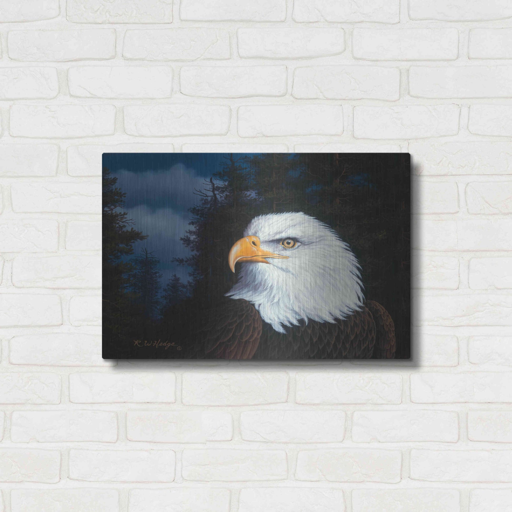 Luxe Metal Art 'The Face Of Freedom' by R. Hed, Metal Wall Art,24x16